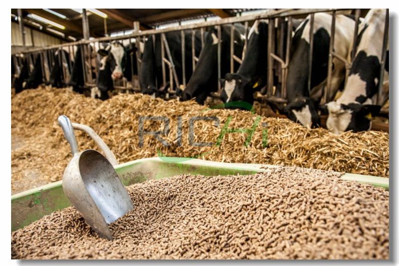 Cattle feed pellets