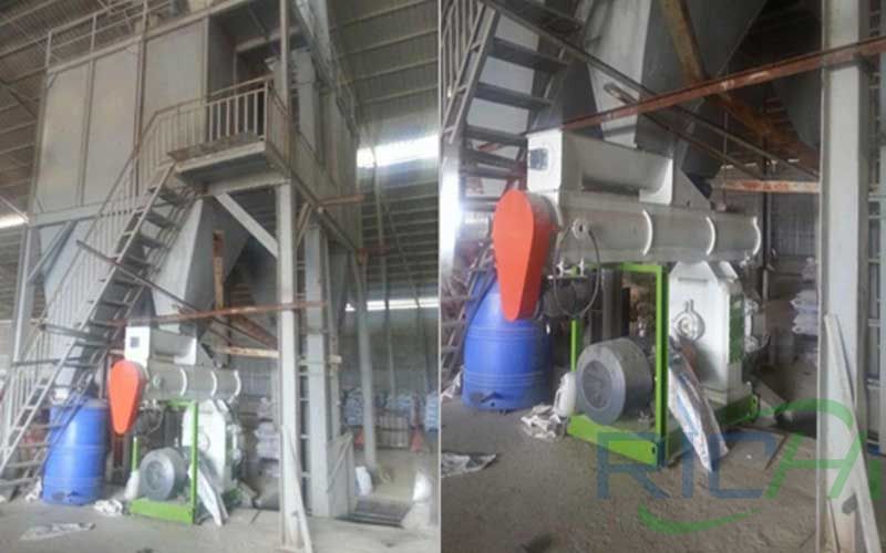 10t/h animal feed pellet mill installation site