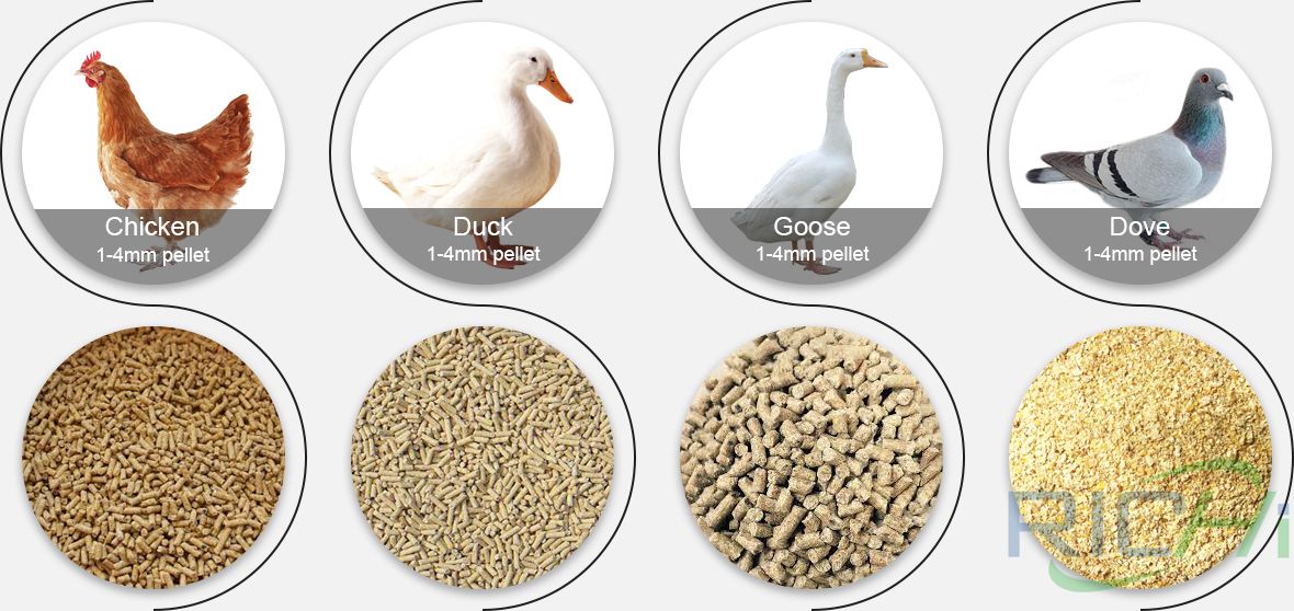 Factors Affecting Poultry Pellet Quality