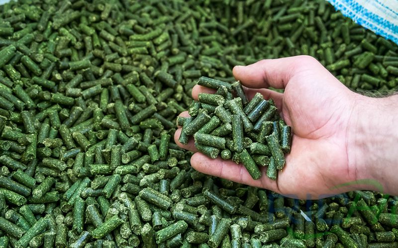 Why Does the Cattle Feed Pellet Plant Produce Alfalfa Pellets