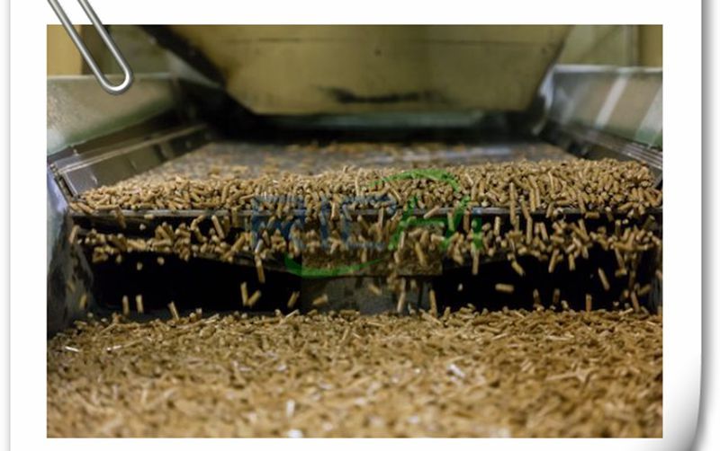 Production of straw pellet feed