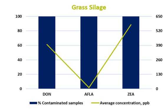 Figure 1 - Grass Sliage