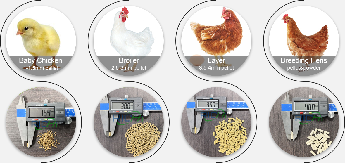 Chicken Feed Pellet Production Line