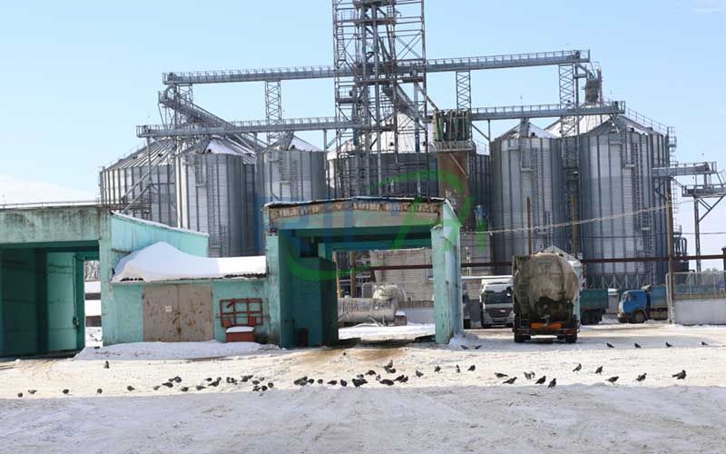 Large-scale poultry feed pellet production line project