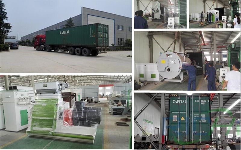 Deliver 10T/H Animal Feed Pellet Mill To Mauritania