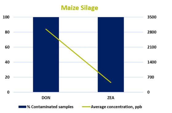 Figure 1 - Maize Silage