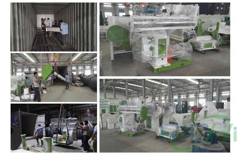 10T/H animal feed pelletizer production line delivery site