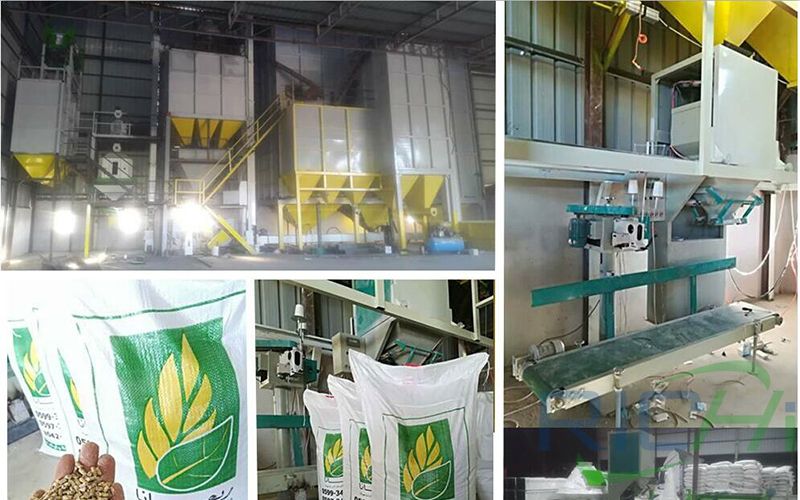 Palestine 4T/H Alfalfa feed pellet production line project