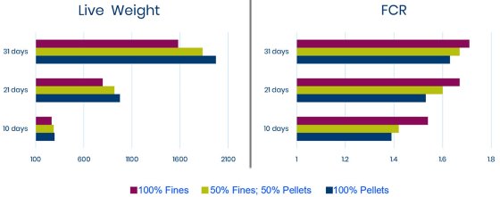  Effect of pellet quality on poultry performance