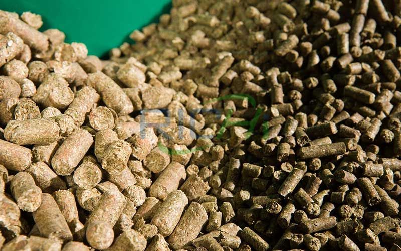 Animal Feed Pellet