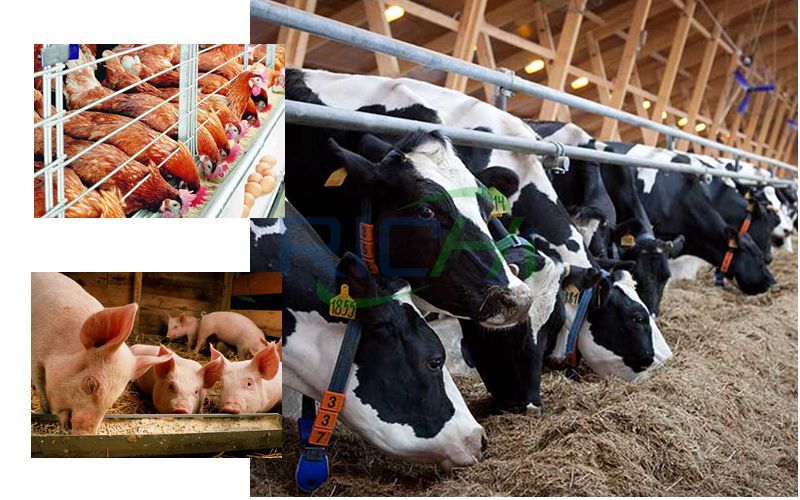 2020 Livestock Project Market Analysis Report