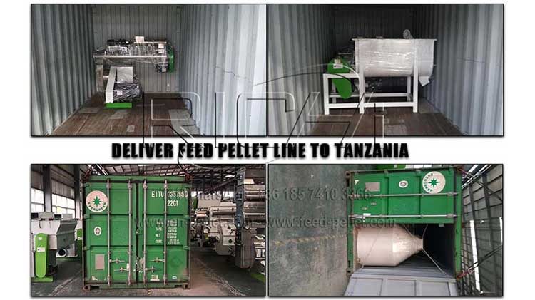 Tanzania 4-5T/H + 3-4T/H feed production line 