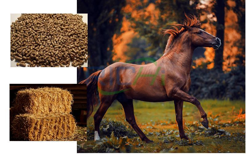 What’s the Difference Between Feeding Baled or Pelleted Hay to Horses?