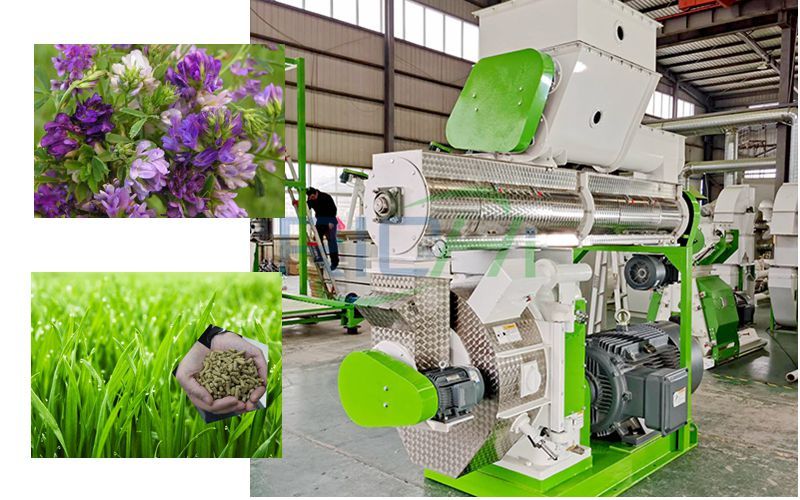 alfalfa pellet making machine