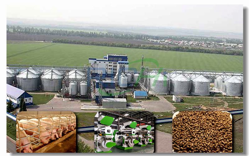 80 Tons/hour Large-scale High-end Pig Feed Pellet Production Line Project