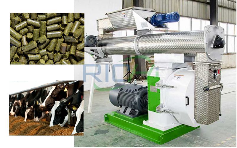 cattle feed pellet machine and feed pellet