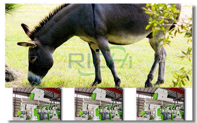 Donkey and feed pellet machine