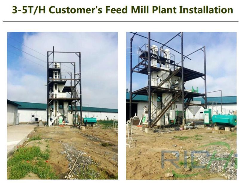 4tph chicken feed pellet line site installation drawing