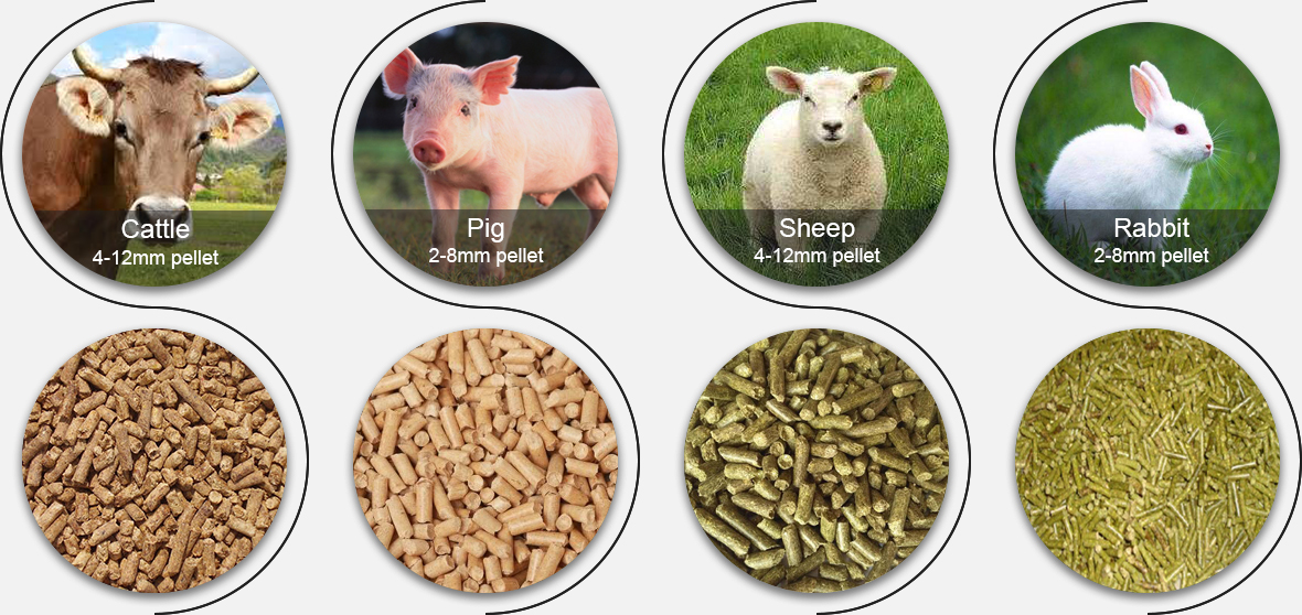 Pigs, cattle, sheep and feed pellets