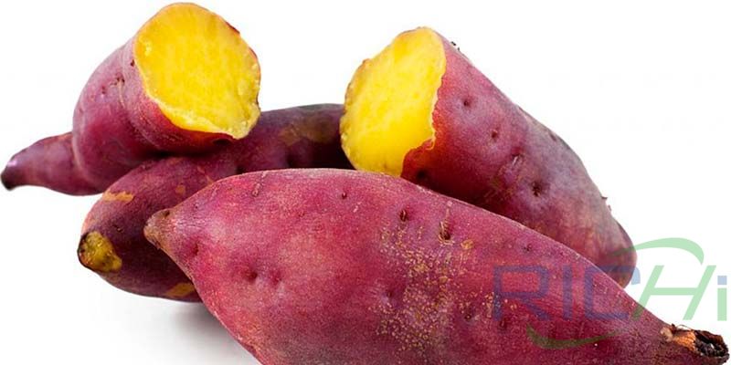 sweet potato