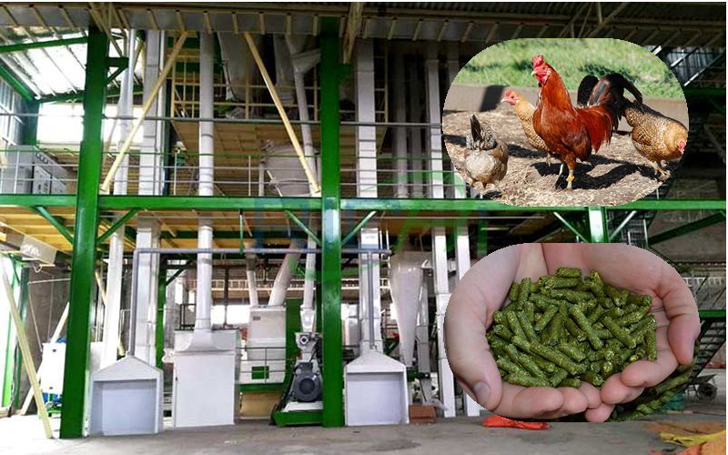 How to Make Chicken Feed Pellets