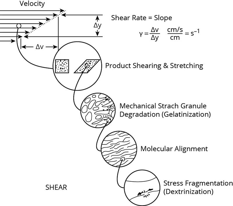 The role of shear in extrusion cooking