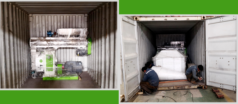 3-4Ton/Hour feed pellet machine delivery to Uzbekista