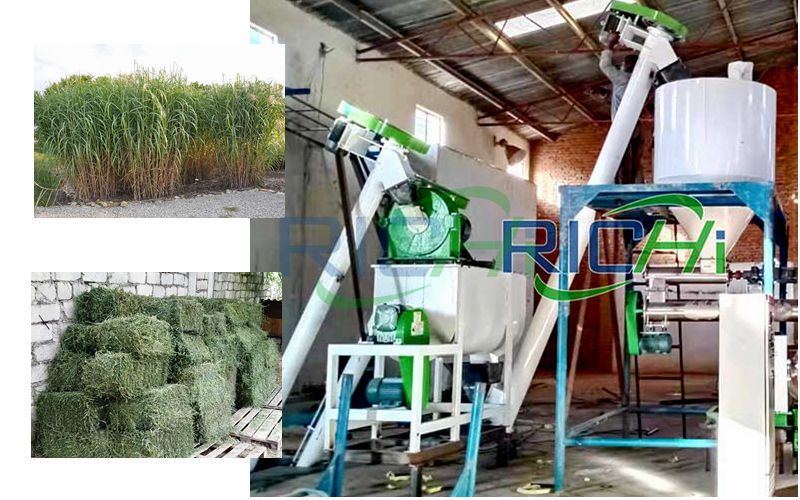 Forage Grass Feed Pellet Processing Project