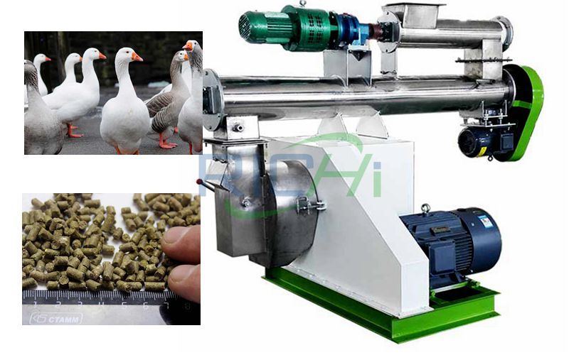 Goose Feed Pellet Machine and Goose