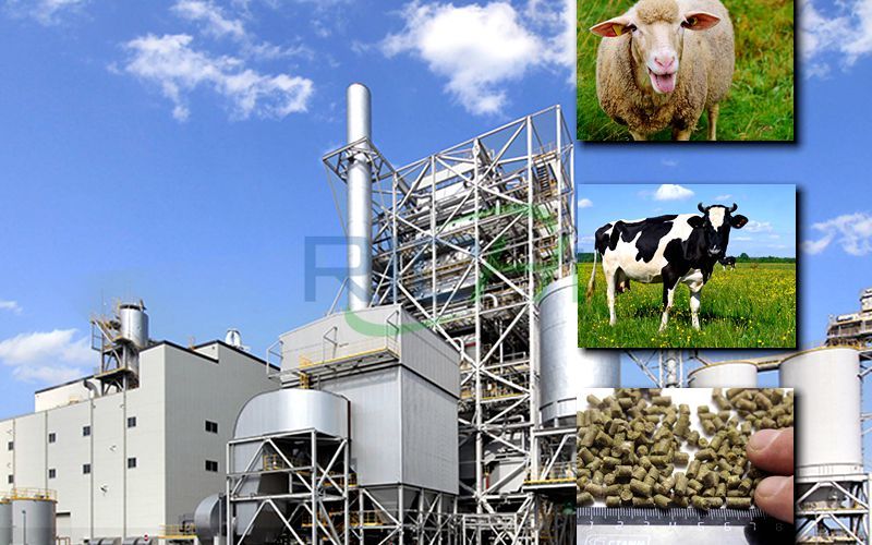 25 Tons/hour Large Cattle and Sheep Feed Pellet Production Line Project