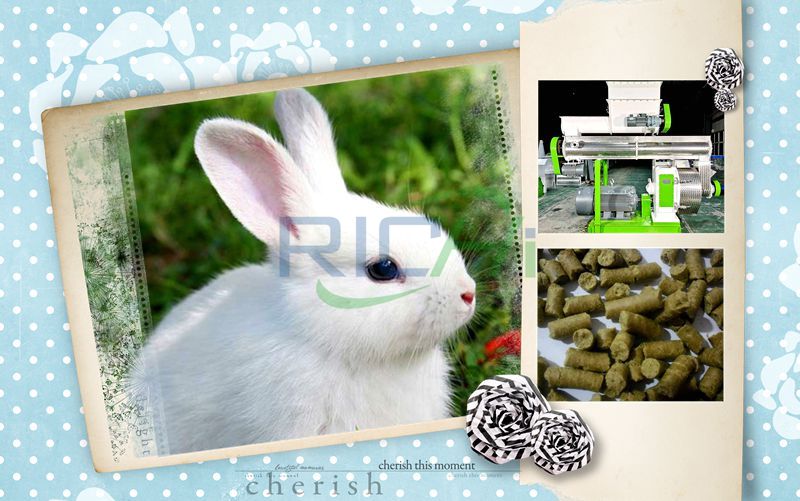 Rabbit Feed Pellet Machine and Rabbit