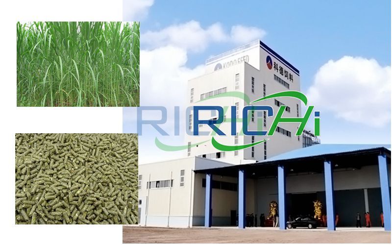 Analysis of Pennisetum Hydridum Pellet Production Project