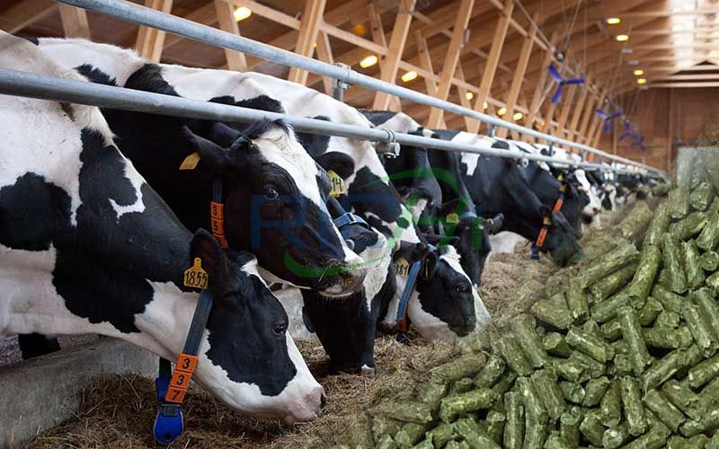 10,000 tons/year cattle and sheep pellet production line project in Inner Mongolia, China