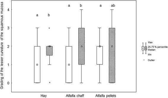 Box (median) and whisker (25th/75th percentiles) plots of lesions grades for the greater curvature of the squamous mucosa before and after weaning for the different feeding protocols (white plots before weaning