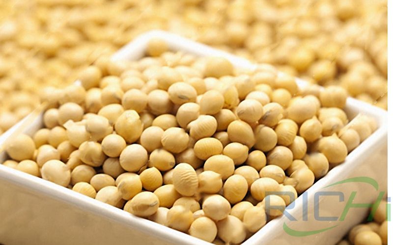 Raw Soybeans