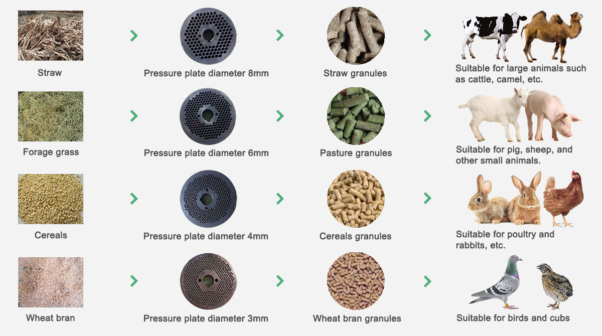 Steps for Feed Pellets Processing