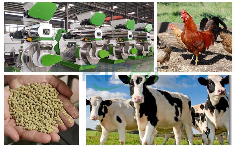 The Line Price of Machinery for Cattle and Chicken Feed 