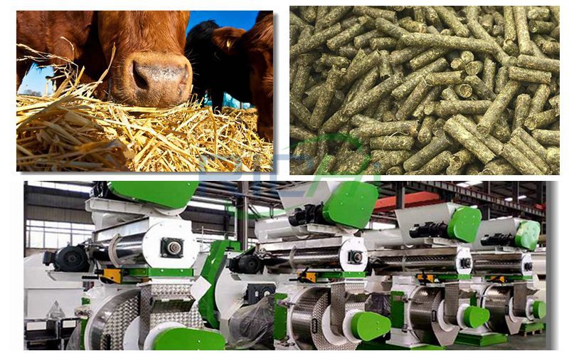Cattle feed pellets and pellet machines