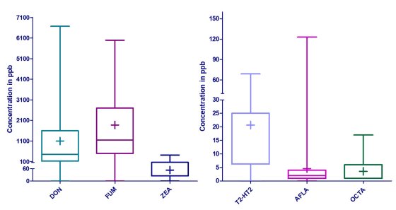 Figure 2 - Potential toxicity in ruminant feed.