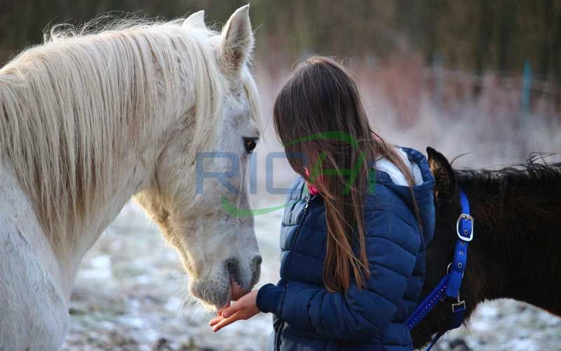 Effects of Alfalfa Husk and Alfalfa Pellets on the Gastric Mucosa of Weaned Horses