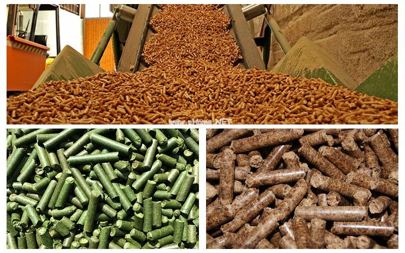 Crusher And Pellet Mill Is Inseparable For The Production Of Hemp Grass Pellets